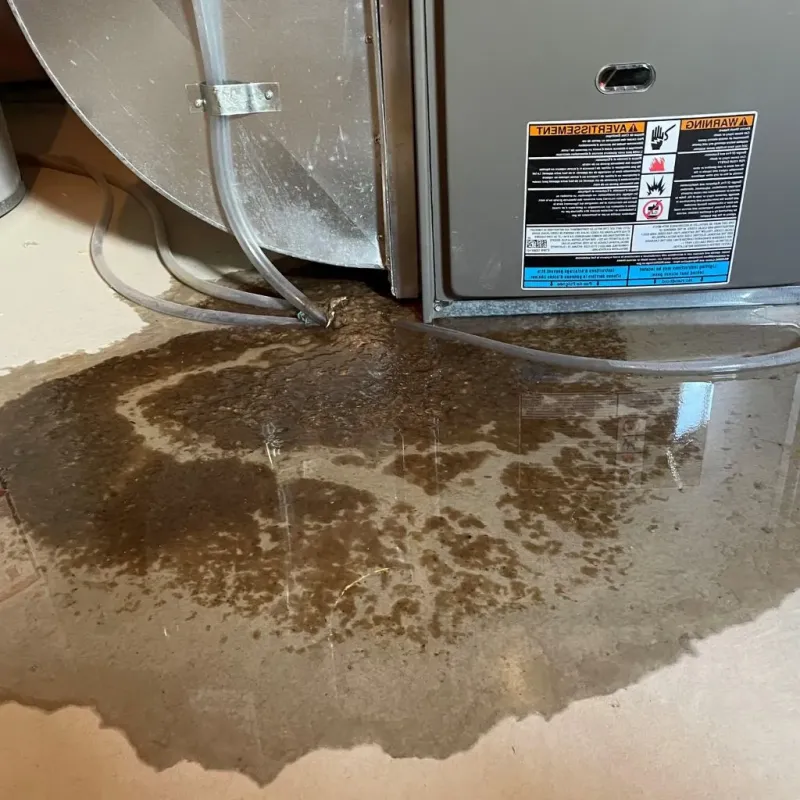 Pipe Burst and Leak Restoration in Ellisville, MO
